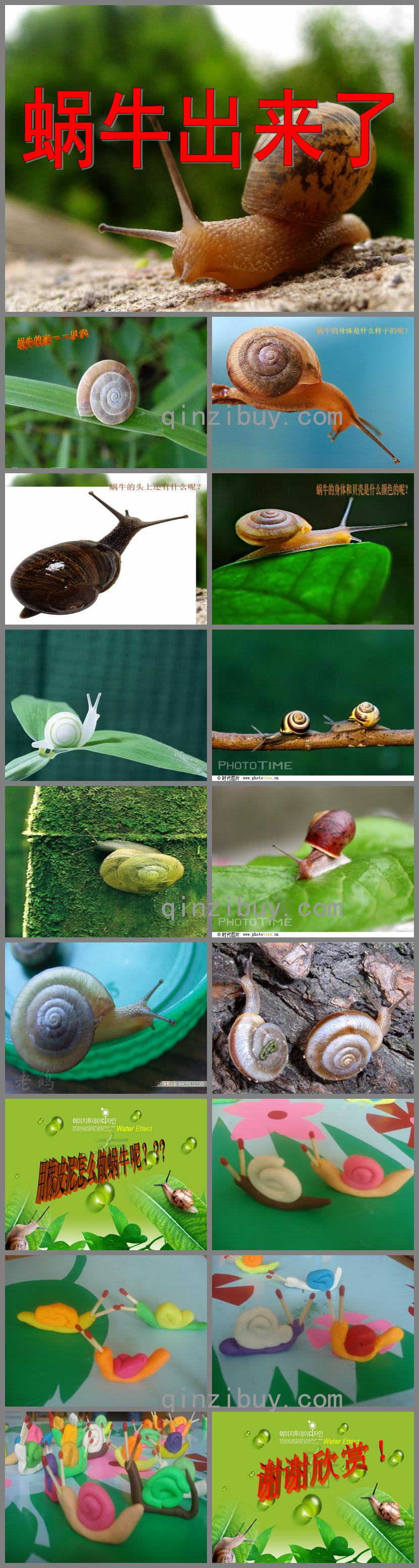 小班手工泥工蝸牛出來了PPT課件