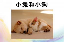 小班社會禮貌小天使小兔和小狗PPT課件