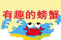 中班綜合有趣的螃蟹PPT課件