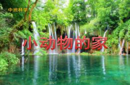 中班科學小動物的家PPT課件