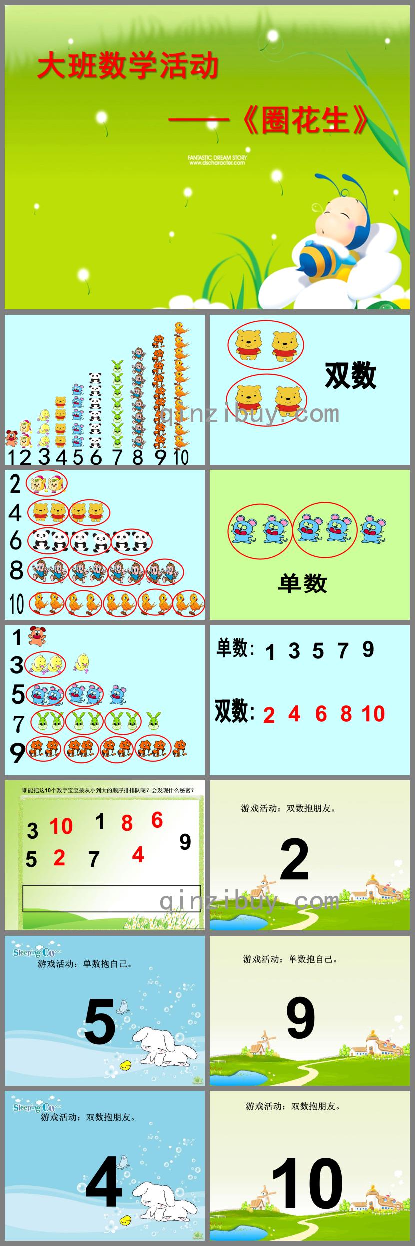 大班數學圈花生PPT課件