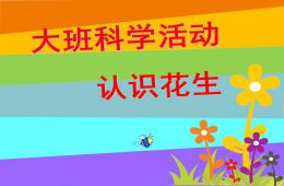 大班科學活動認識花生PPT課件