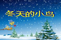 小班語言兒歌冬天的小鳥PPT課件配音音樂