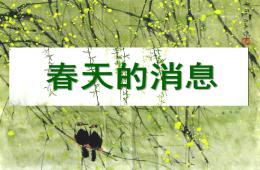 中班科學春天的信息PPT課件
