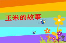 大班玉米的故事PPT課件