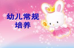 幼兒常規培養PPT課件