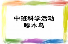 中班科學啄木鳥PPT課件