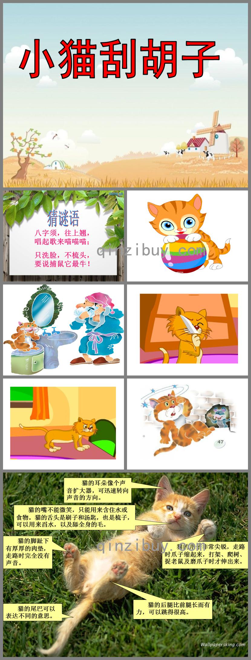 中班語言小貓刮胡子PPT課件