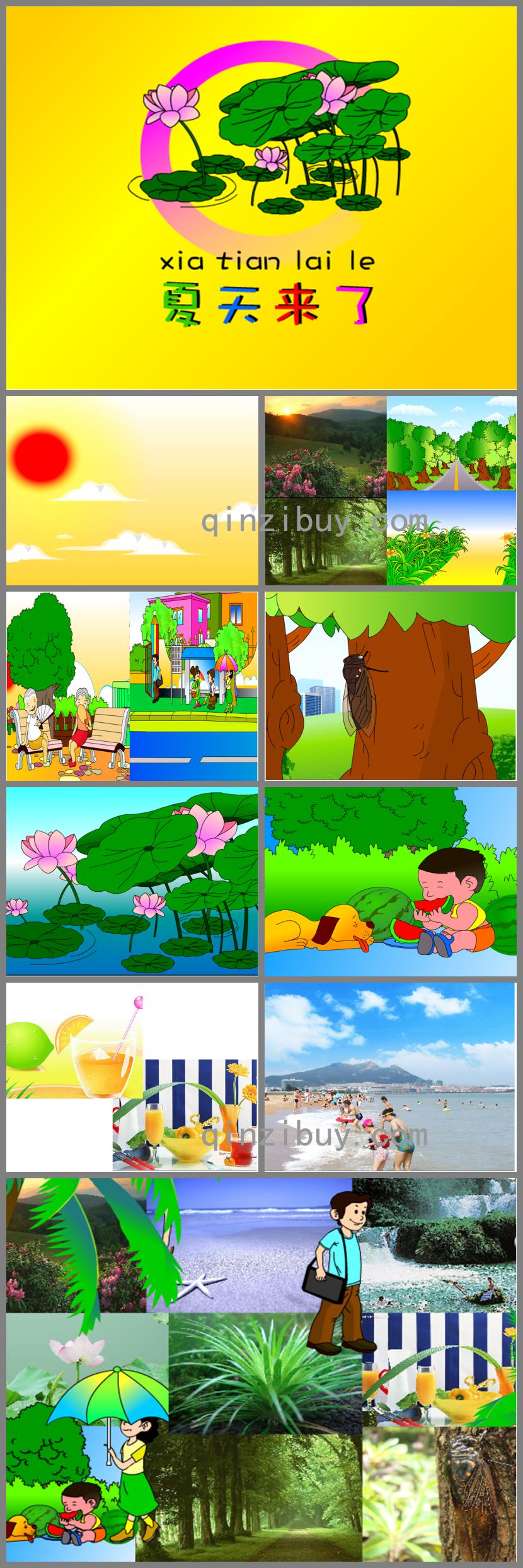 中班科學(xué)夏天來(lái)了PPT課件