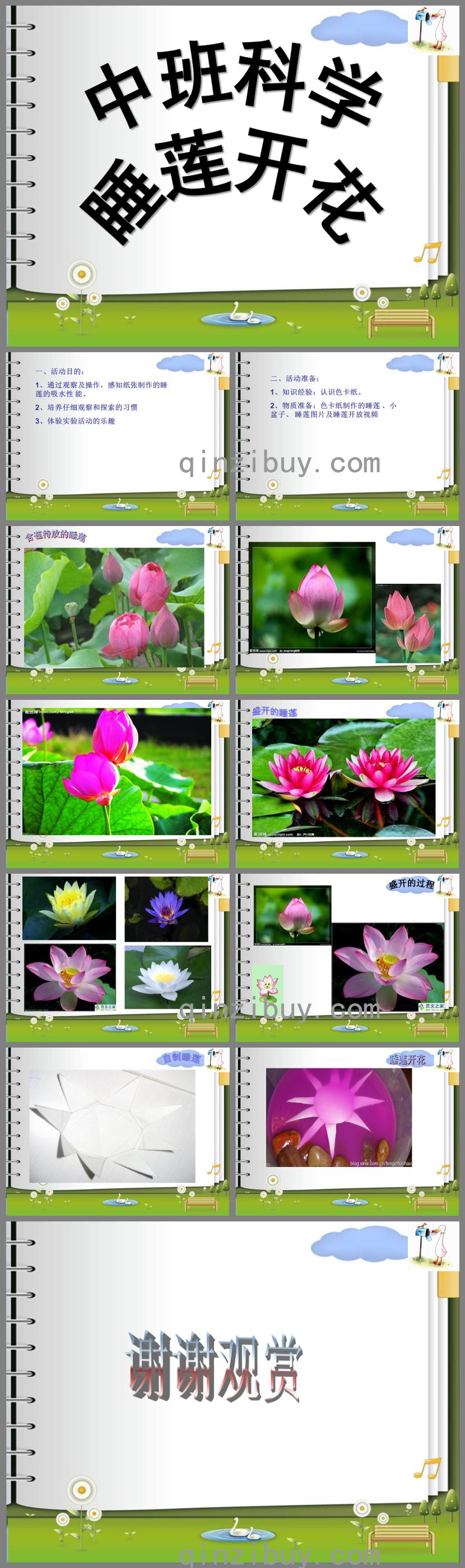 中班科學(xué)睡蓮開花PPT課件
