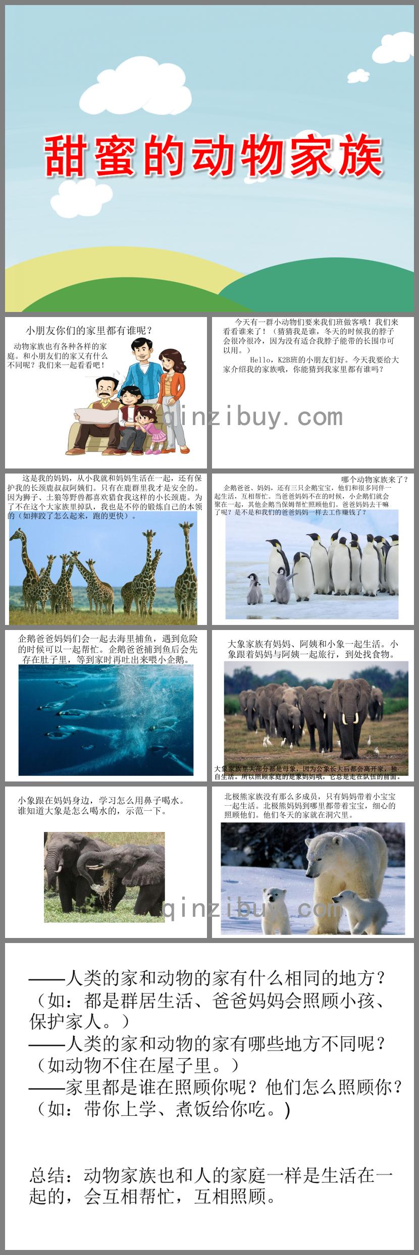 中班科學甜蜜的動物家族PPT課件