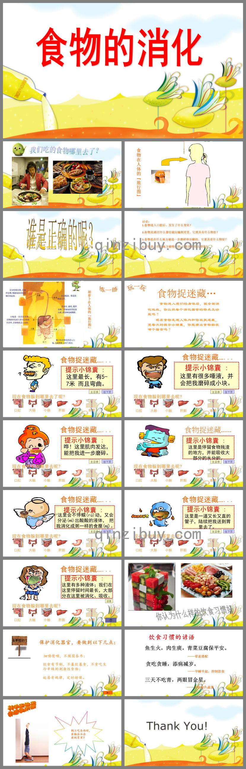 大班食物的消化PPT課件