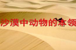 中班科學沙漠動物的本領PPT課件