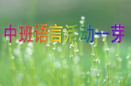 中班語言散文詩芽PPT課件