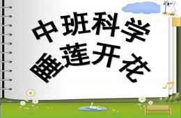 中班科學睡蓮開花PPT課件