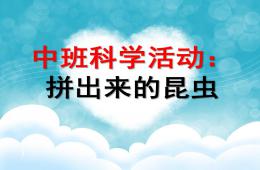 中班科學活動拼出來的昆蟲PPT課件