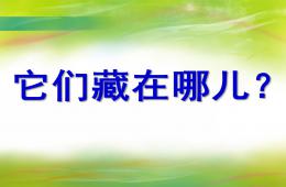 中班科學它們藏在哪兒PPT課件