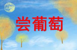 大班音樂嘗葡萄PPT課件