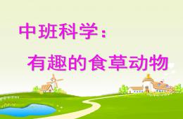 中班科學有趣的食草動物PPT課件