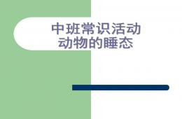 中班常識活動動物的睡態PPT課件