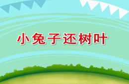 中班科學活動有趣的螞蟻PPT課件