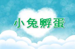 中班故事活動小兔孵蛋PPT課件