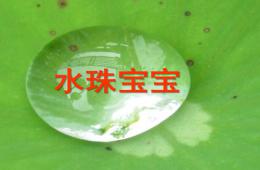 小班語言兒歌水珠寶寶PPT課件