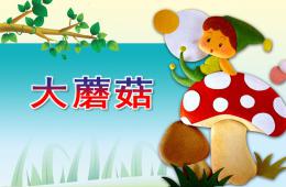 中班科學大蘑菇PPT課件