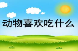 幼兒園不要隨便喂動物PPT課件