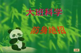 大班防身絕招PPT課件