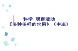 中班科學多種多樣的水果PPT課件