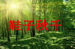 小班語言活動鞋子秋千PPT課件配音音樂