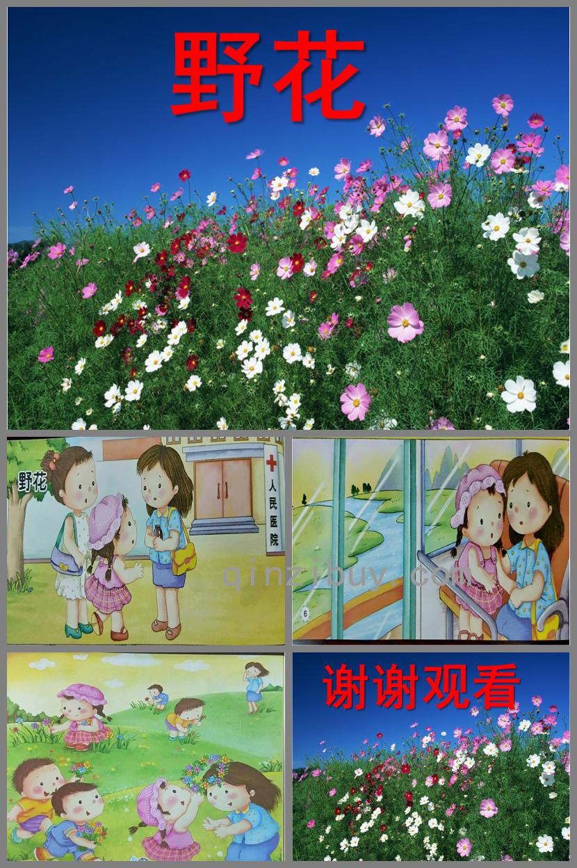 中班故事野花PPT課件
