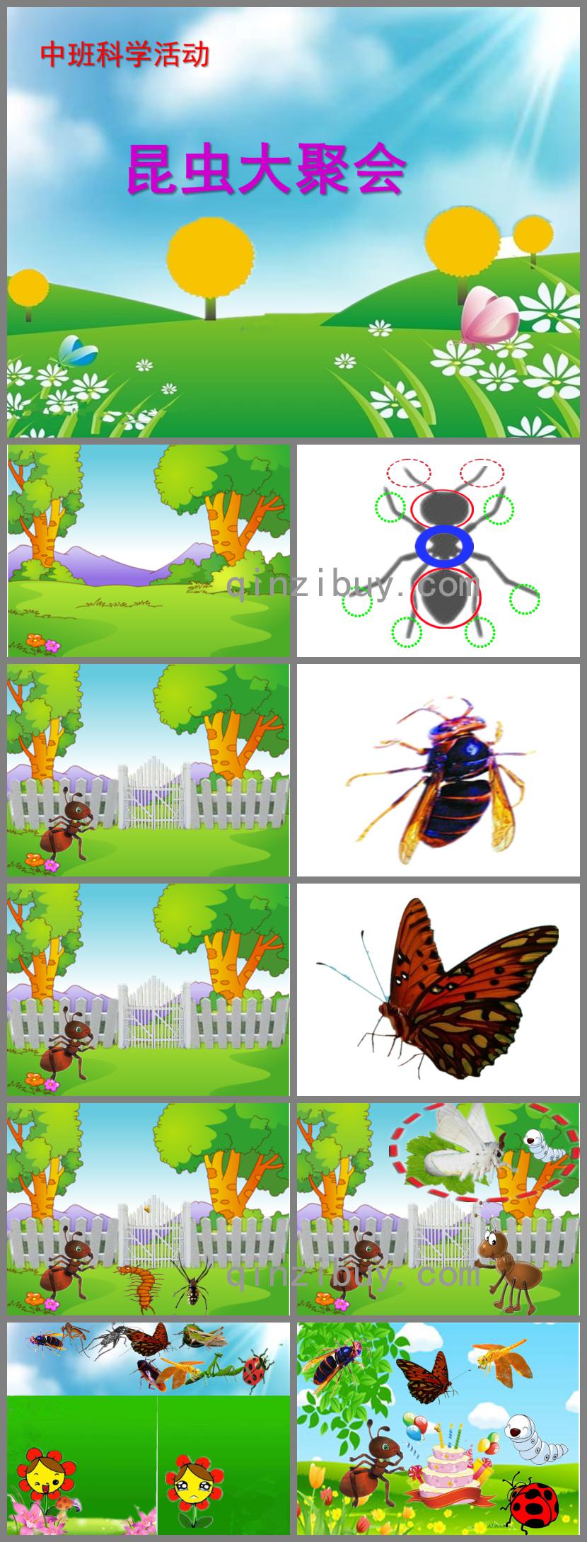 中班科學活動昆蟲大聚會PPT課件