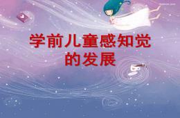 學前兒童感知覺的發展PPT課件