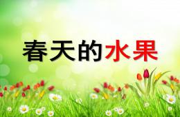 中班藝術春天的水果PPT課件