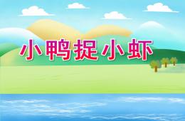 小班語言小鴨捉小蝦PPT課件