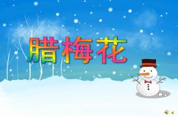 小班語言兒歌臘梅花PPT課件配音音樂