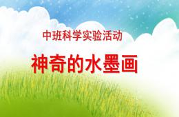 中班科學神奇的水墨畫PPT課件