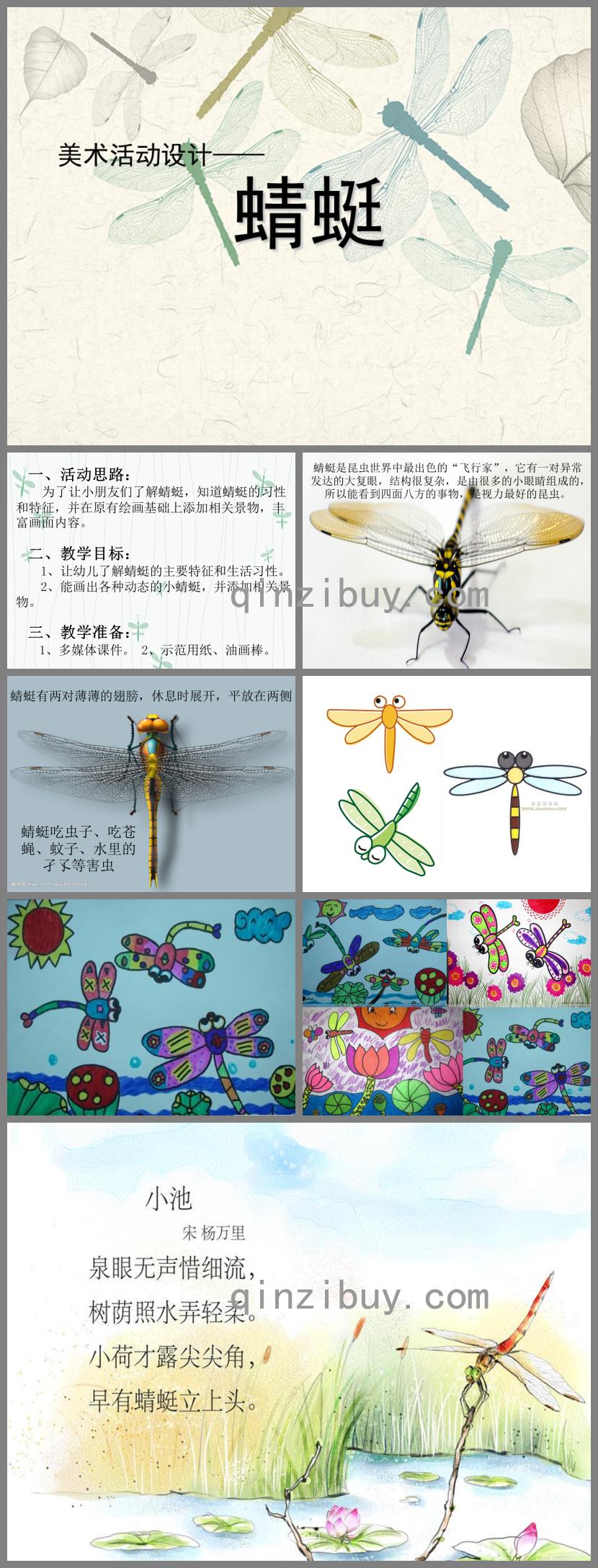 大班美術活動蜻蜓PPT課件