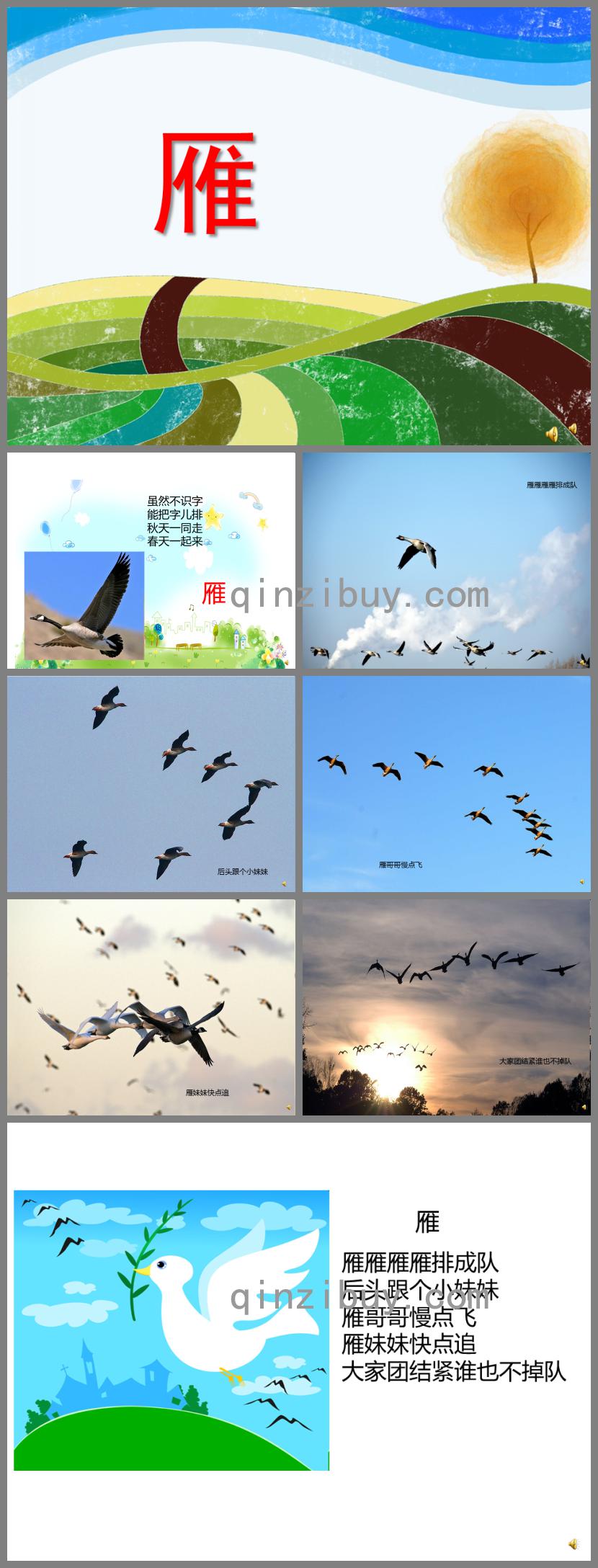 幼兒園動物兒歌雁PPT課件配音音樂