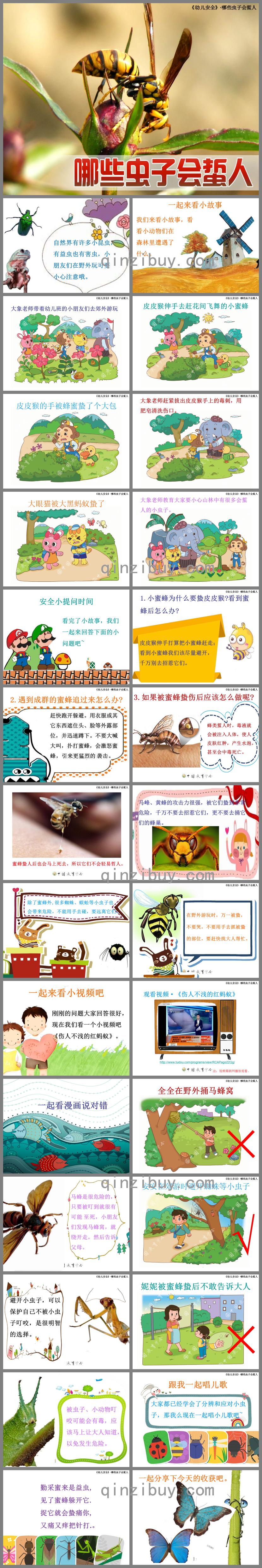 中班安全什么蟲子會蜇人PPT課件