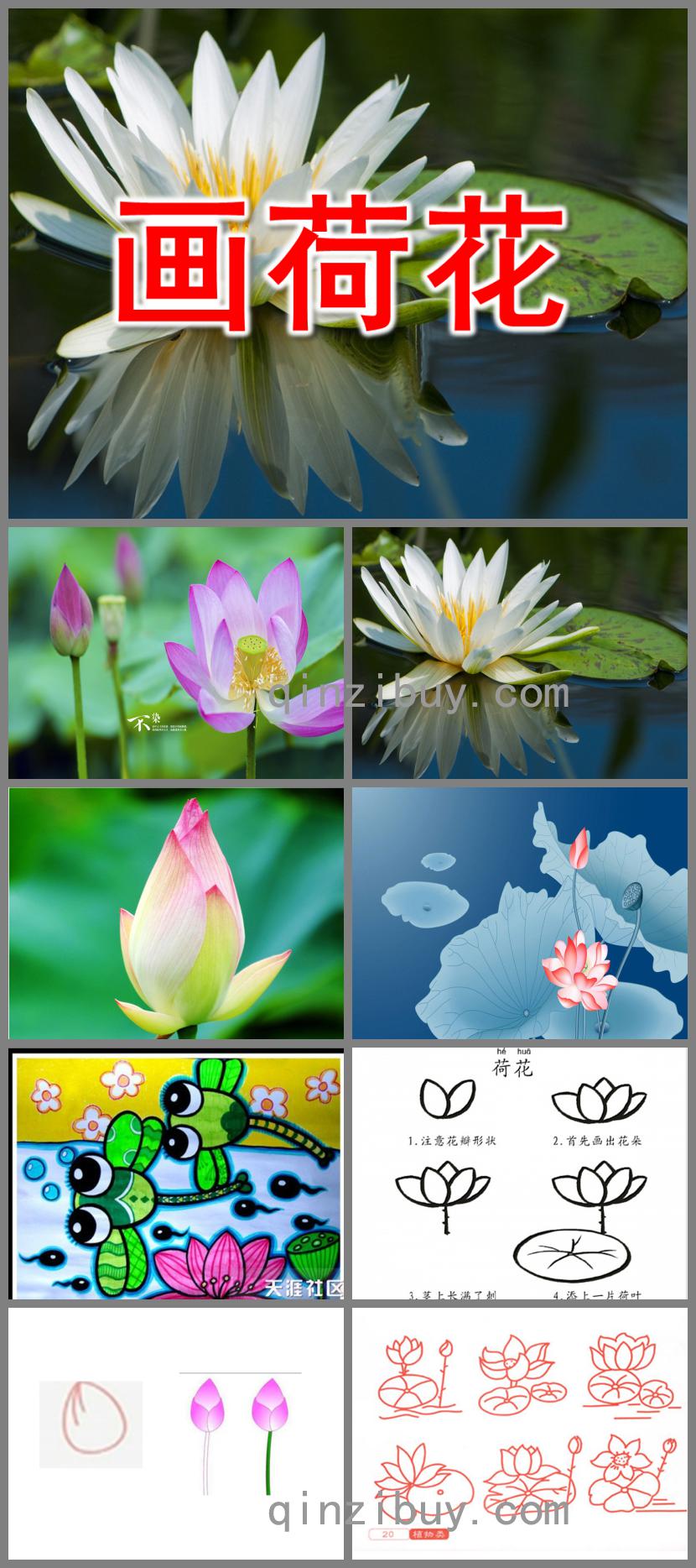 小班藝術畫荷花PPT課件