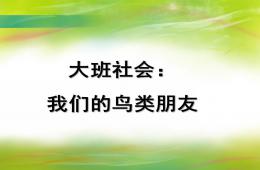 大班社會(huì)我們的鳥(niǎo)類朋友PPT課件
