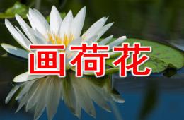 小班藝術畫荷花PPT課件