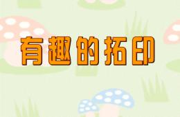 大班美術有趣的拓印PPT課件