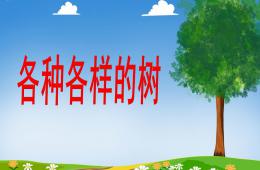 中班科學認識樹PPT課件
