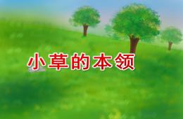 中班主題小草的本領PPT課件