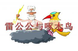 中班語言雷公公與啄木鳥PPT課件