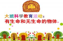 中班科學有生命和無生命的物體PPT課件
